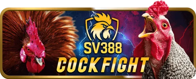 Ưu Đãi Chào Mừng Thành Viên Mới 78 live